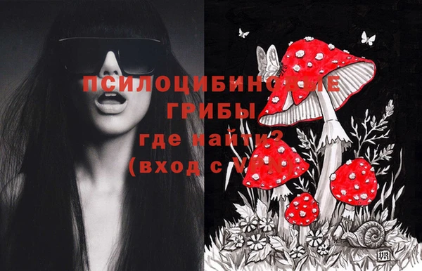 мдпв Кинешма
