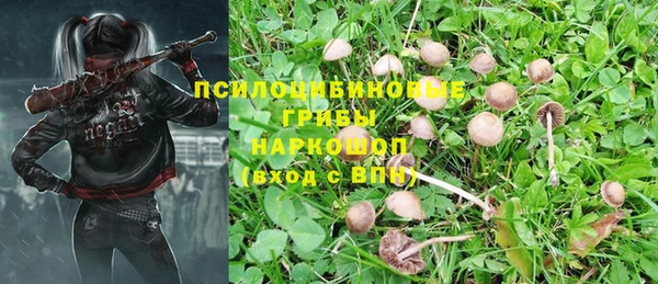 тгк Киреевск