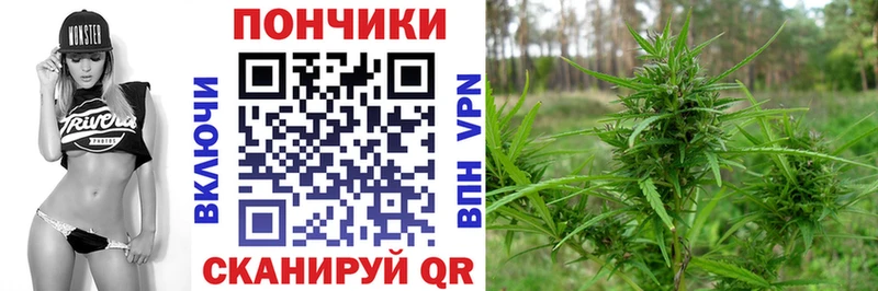 Каннабис SATIVA & INDICA  Купить закладки  Берёзовский 